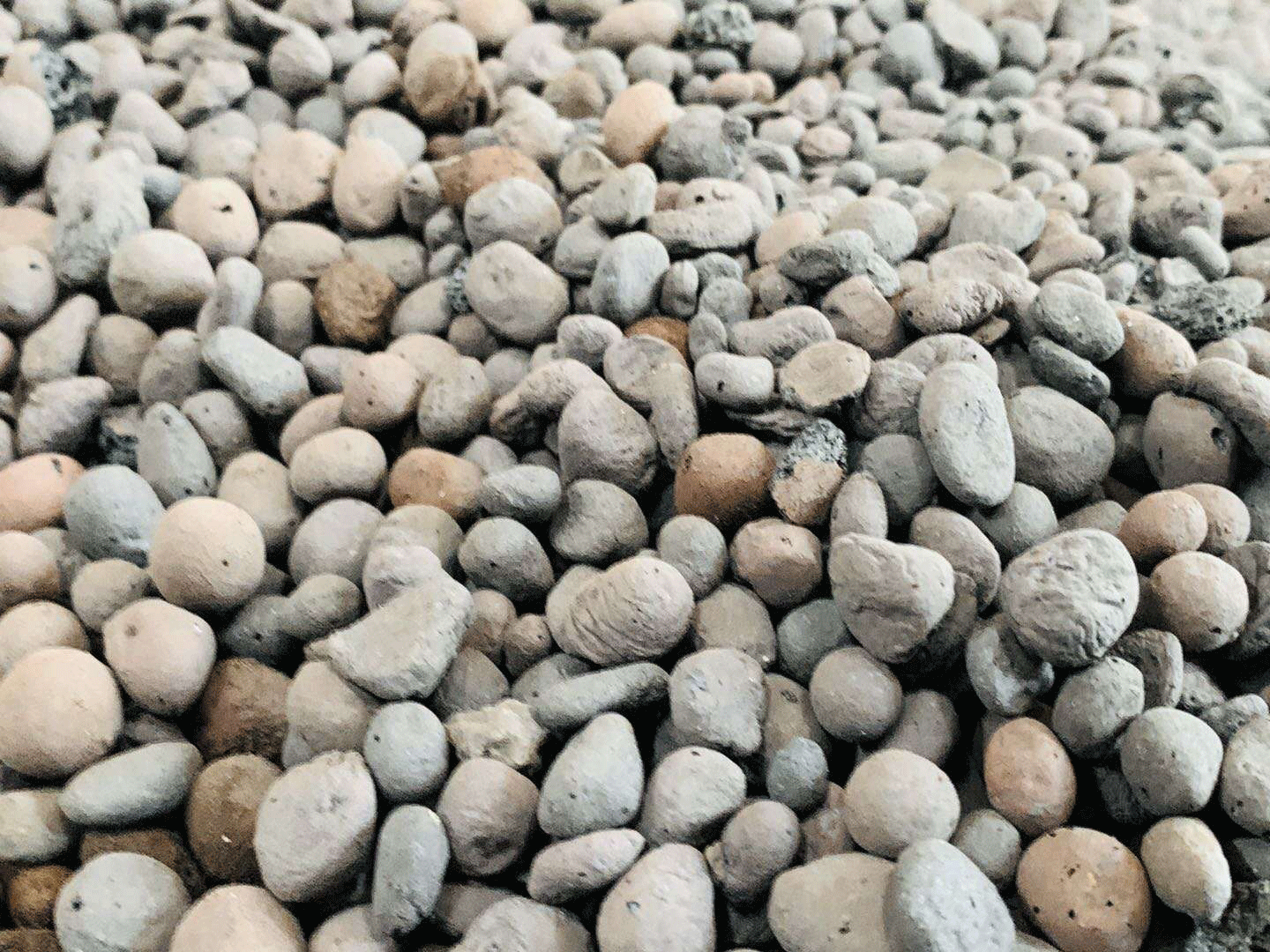 撫州陶粒_撫州陶粒批發_衛生間回填陶粒 撫州陶粒_撫州陶粒批發_衛生間回填陶粒