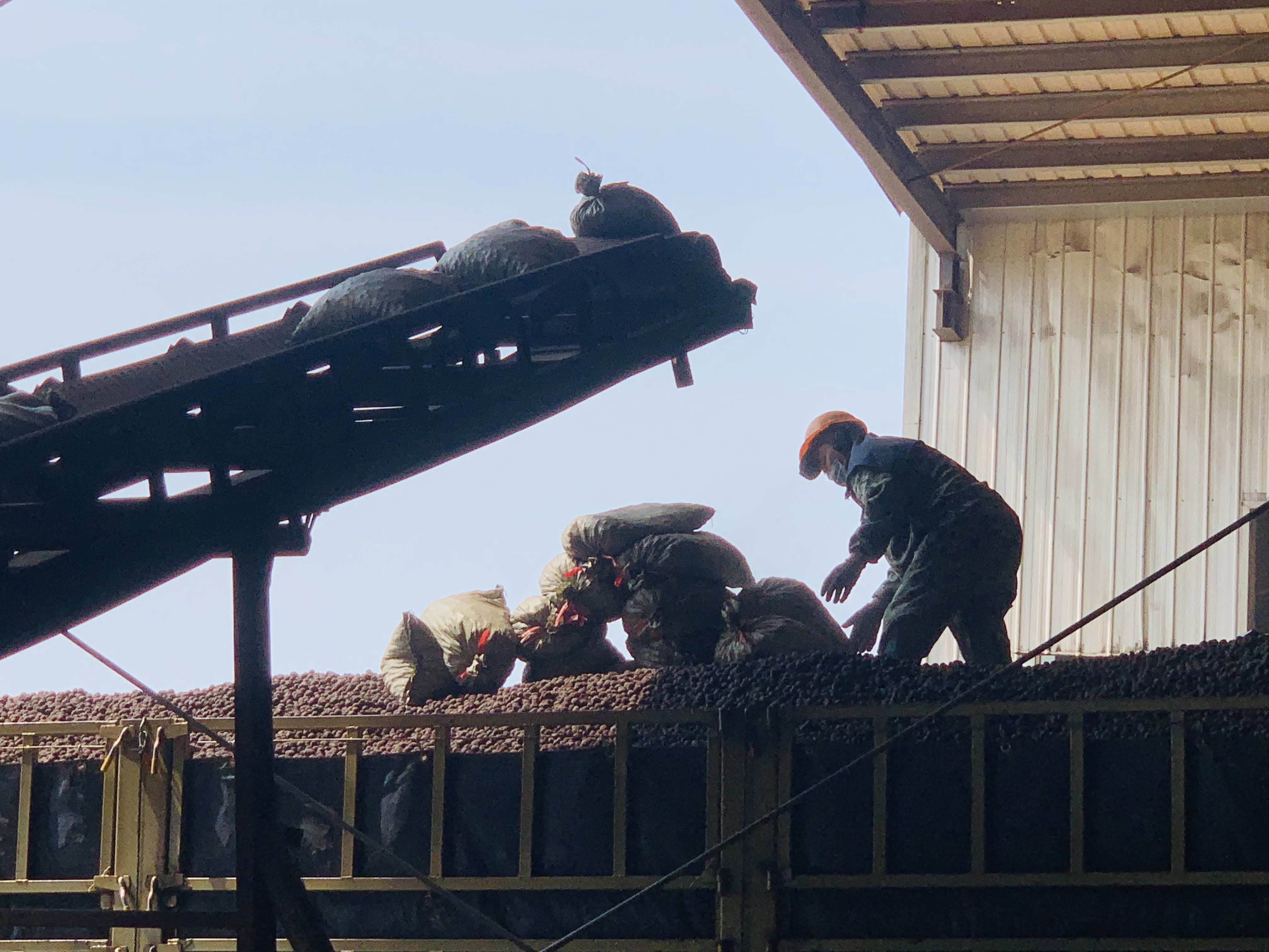 撫州陶粒廠家,撫州唯一建筑回填陶粒生產(chǎn)基地 撫州陶粒廠家,撫州唯一建筑回填陶粒生產(chǎn)基地